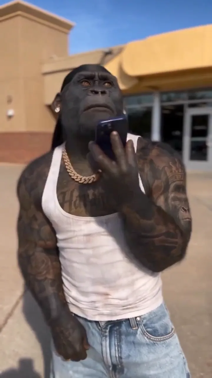 Gorilla phone remix - millionaire in 30 days AI video example